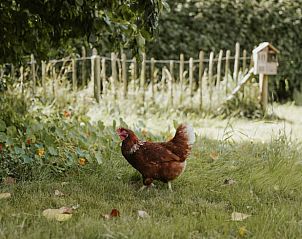 Verblijf 282717 - Vakantiewoning Rivierengebied - Vakantiehuisje in Altforst