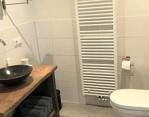 Moderne badkamer met toilet in Vakantiehuisje in Hurwenen, Rivierengebied, Gelderland.