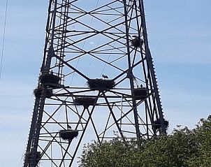 Ooievaarsnesten op elektriciteitsmast bij Vakantiehuisje in Hurwenen, Gelderland