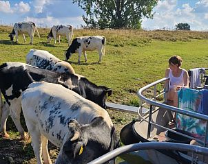 Verblijf 283105 - Vakantiewoning Rivierengebied - Vakantiehuis in Heerewaarden, De Bommelerwaard (*Bekijk ook