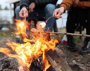 Verblijf 283105 - Vakantiewoning Rivierengebied - Vakantiehuis in Heerewaarden, De Bommelerwaard (*Bekijk ook