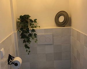 Vakantiehuisje in Buren, gezellige badkamer met decoraties in Rivierengebied, Gelderland.