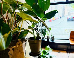 Guest house 284110 - Apartment West Brabant - Hotel Sutor