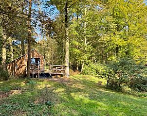 Zonnig terras bij Vakantiehuis in Heilig Landstichting, gelegen in groene omgeving van Gelderland.