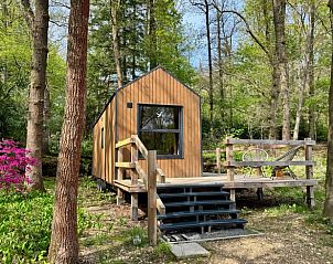 Vakantiehuis in Heilig Landstichting met kleurrijke bloemen, een serene plek in het Rivierengebied.