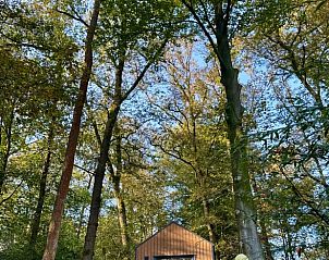 Verblijf 284301 - Vakantiewoning Rivierengebied - Vakantiehuis in Heilig Landstichting