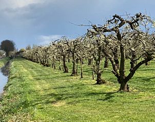 Verblijf 284503 - Vakantiewoning Rivierengebied - Vakantiehuisje in Ommeren