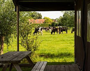 Guest house 284507 • Holiday property Rivierengebied • Vakantiehuis in Ommeren 