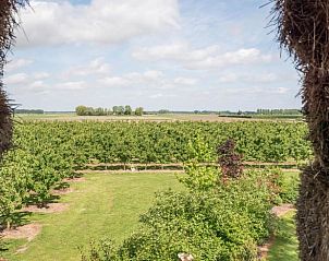 Prachtig uitzicht op boomgaarden vanuit vakantiehuis Huisje in Zoelen, gelegen in het Rivierengebied, Gelderland.