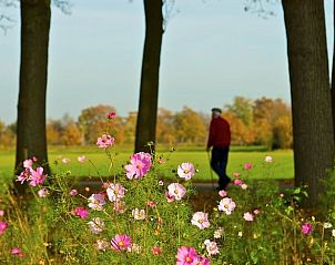 Bloemen en wandelpaden rondom Huisje in Zoelen, vakantiehuis in het groene Rivierengebied van Gelderland.