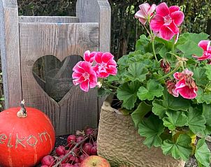 Sfeervolle tuin met uitzicht bij Huisje in Zoelen, vakantiehuis in Rivierengebied, Gelderland.