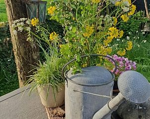 Creatieve tuinsetting bij Huisje in Zoelen, vakantiehuis in Rivierengebied, Gelderland.