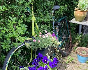 Rijke kersenbomen bij Huisje in Zoelen, vakantiehuis in Rivierengebied, Gelderland.