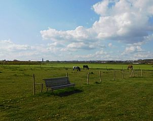 Unterkunft 284817 - Ferienhaus Rivierengebied - Vakantiehuisje in Kesteren