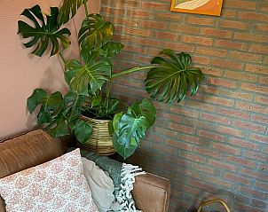 Unterkunft 284824 - Ferienhaus Rivierengebied - Vakantiehuis in Kesteren