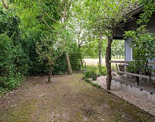 Schaduwrijke tuin bij Vakantiehuis in Deil, Rivierengebied, ideaal voor rustige wandelingen.