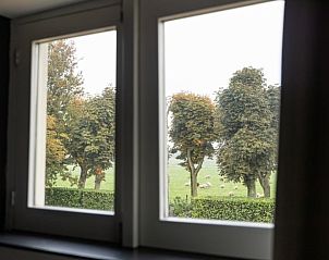 Uitzicht op groene velden vanuit Vakantiehuisje in Winssen, Rivierengebied.