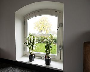 Planten op vensterbank met tuinzicht bij Vakantiehuisje in Winssen, Gelderland.