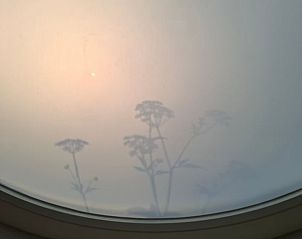 Sfeervol uitzicht door rond raam in Vakantiehuisje in Winssen, Rivierengebied.