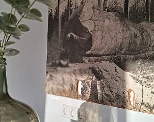 Kunst aan de muur in Vakantiehuisje in Winssen, Gelderland.