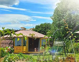 Guest house 285507 • Holiday property Rivierengebied • Huisje in Winssen 
