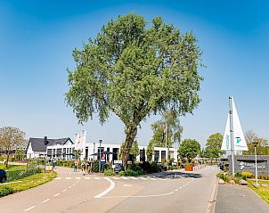 Verblijf 285808 - Vakantiewoning Rivierengebied - Vakantiepark Eiland van Maurik 5