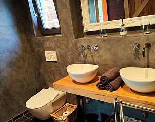 Badkamer met dubbele wastafel in Vakantiehuisje in Herveld, Gelderland. Comfortabel en modern ingericht.