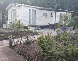 Veranda van Vakantiehuis in Wolfheze, omringd door groene natuur in het Rivierengebied, Gelderland.