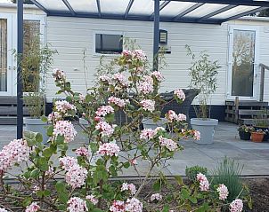 Zonnige tuin bij Vakantiehuis in Wolfheze, perfect voor natuurliefhebbers in Gelderland.