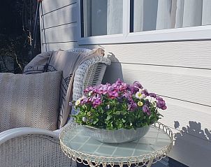 Comfortabele zitplek buiten bij Vakantiehuis in Wolfheze, ideaal voor ontspanning in Gelderland.