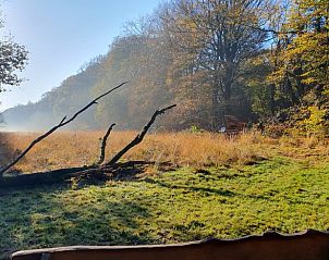 Herfstlandschap rondom Vakantiehuis in Wolfheze, prachtige natuur in Gelderland.