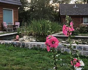 Natuurlijke zwemvijver bij Huisje in Dreumel, vakantiehuis in Rivierengebied Gelderland, omringd door bloemen.
