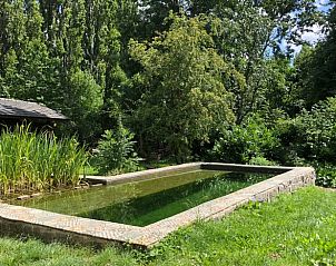 Groene tuin met zwemvijver bij Huisje in Dreumel, vakantiehuis in Rivierengebied Gelderland, ideaal voor ontspanning.