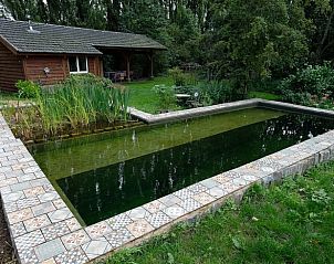 Verblijf 286406 - Vakantiewoning Rivierengebied - Vakantiehuis in Dreumel