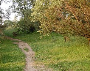 Bosrijk pad bij Vakantiehuis in Dreumel, perfect voor wandelingen, Rivierengebied, Gelderland.