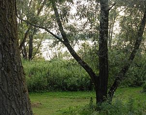 Bomen en struiken bij Vakantiehuis in Dreumel, omgeven door natuur, Rivierengebied, Gelderland.