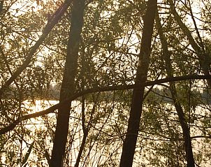 Zonsondergang door de bomen bij Vakantiehuis in Dreumel, schilderachtig uitzicht, Gelderland.