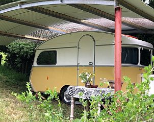 Vakantiehuisje in Dreumel, Gelderland, biedt een charmante retro caravan onder een overdekte veranda in het groene Rivierengebied.