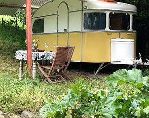 Verblijf 286410 - Vakantiewoning Rivierengebied - Vakantiehuisje in Dreumel