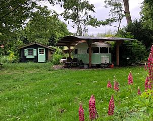 Ontdek de natuurlijke charme van Vakantiehuis in Dreumel, gelegen in het groene Rivierengebied van Gelderland.