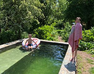 Zwemplezier in de natuurlijke omgeving van Vakantiehuis in Dreumel, Gelderland, met een verfrissend zwembad.