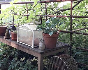Tuin met planten in Vakantiehuis in Dreumel, een rustgevende plek in het Rivierengebied, Gelderland.