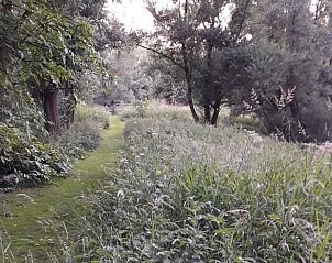 Sfeervol pad door de natuur bij Vakantiehuis in Dreumel, een uitnodigende route in Gelderland.
