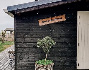 Guest house 286419 - Holiday property Rivierengebied - Huisje in Dreumel