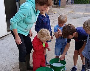 Guest house 286419 - Holiday property Rivierengebied - Huisje in Dreumel