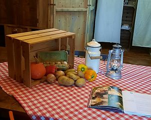 Guest house 286419 - Holiday property Rivierengebied - Huisje in Dreumel