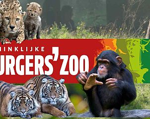 Gezellige woonkamer met houtkachel in vakantiehuis DG1294, Gelderland.