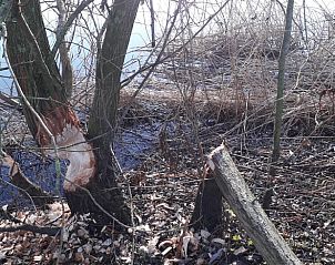 Unterkunft 286801 - Ferienhaus Rivierengebied - Vakantiehuisje in Ochten