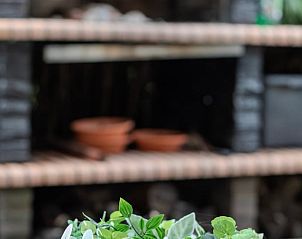 Guest house 286901 - Holiday property Rivierengebied - Huisje in Enspijk