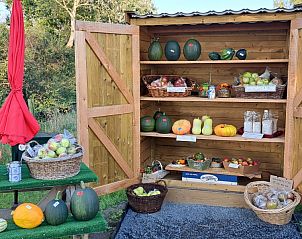 Verblijf 287003 - Vakantiewoning Rivierengebied - Betuwsend